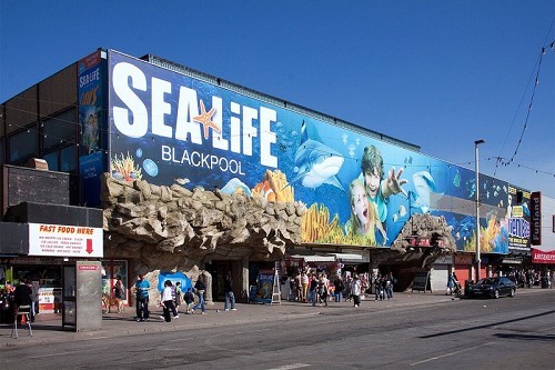 SEA LIFE Blackpool - © David A.Ingham via http://flic.kr/p/9NTruQ