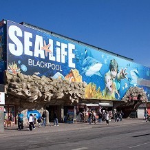 SEA LIFE Blackpool - &copy; David A.Ingham via http://flic.kr/p/9NTruQ