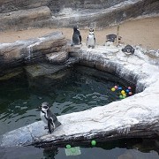 SEA LIFE Centre - Great Yarmouth - © Kevin Millican 