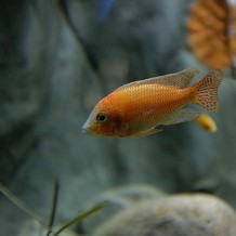 SEA LIFE Centre - Great Yarmouth - &copy; Kevin Millican 