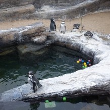SEA LIFE Centre - Great Yarmouth - &copy; Kevin Millican 
