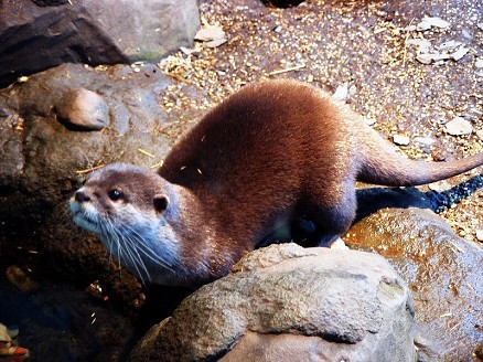 SEA LIFE Centre - Loch Lomond