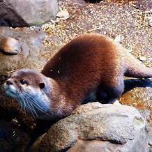 SEA LIFE Centre - Loch Lomond - &copy; Tim Kirman