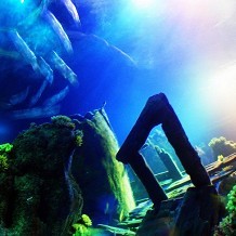 SEA LIFE Centre - Loch Lomond - &copy; Tim Kirman