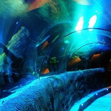 SEA LIFE Centre - Loch Lomond - &copy; Tim Kirman