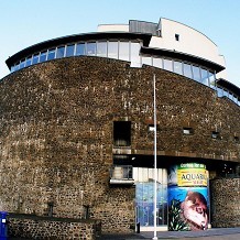 SEA LIFE Centre - Loch Lomond - &copy; Tim Kirman