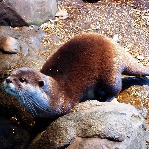 SEA LIFE Centre - Loch Lomond