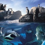 Sea Life Centre - Scarborough