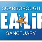Sea Life Centre - Scarborough