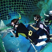 SEA LIFE London Aquarium