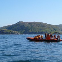 Seafari Adventures