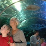 SeaQuarium
