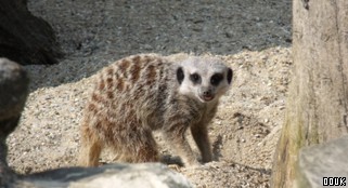 Seaview Wildlife Encounter