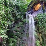 Shanklin Chine