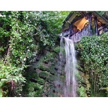 Shanklin Chine