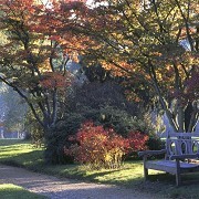 Sheffield Park and Garden - © Stephen Robson