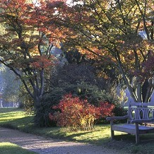 Sheffield Park and Garden - &copy; Stephen Robson