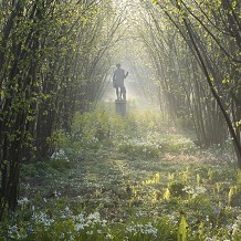 Sissinghurst Castle - &copy; Jonathan Buckley