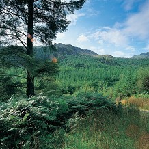 Snowdonia National Park - &copy; Crown copyright (2013) Visit Wales
