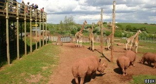 South Lakes Wild Animal Park