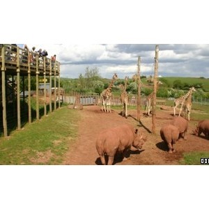 South Lakes Wild Animal Park