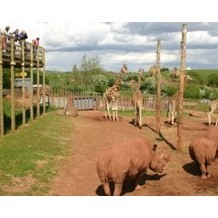 South Lakes Wild Animal Park