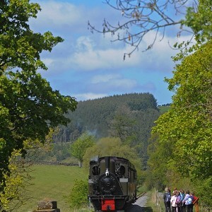 South Tynedale Railway