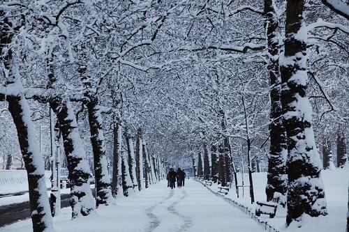 St James's Park - © The Royal Parks