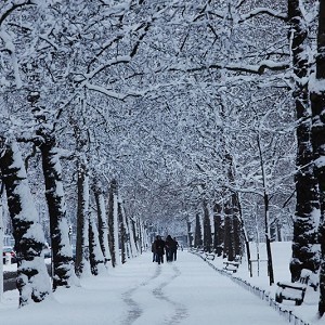 St James's Park