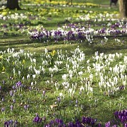 St James's Park - © The Royal Parks