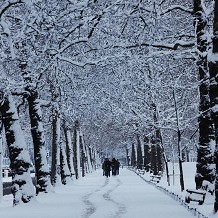 St James's Park - &copy; The Royal Parks