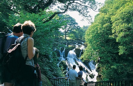 Swallow Falls