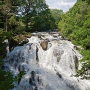 Swallow Falls - © Crown copyright (2013) Visit Wales