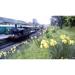 Swanage Railway