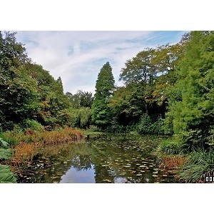 Tatton Park