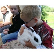 The Ark Open Farm