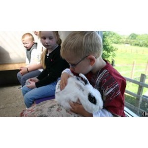 The Ark Open Farm