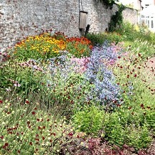 The Bishop's Palace and Gardens