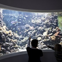 The Horniman Museum and Gardens