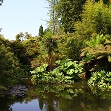 The Lost Gardens of Heligan - © Heligan Gardens Ltd