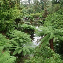 The Lost Gardens of Heligan - © Heligan Gardens Ltd