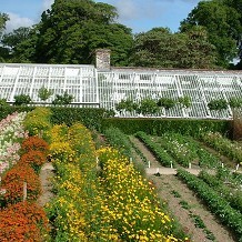 The Lost Gardens of Heligan - © Heligan Gardens Ltd