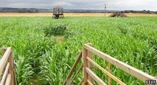 The Marsh Maize Maze