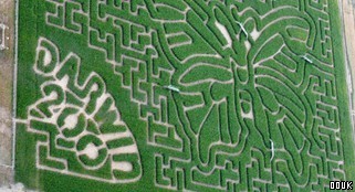 The Milton Maize Maze