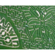 The Milton Maize Maze