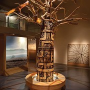 The Museum of Somerset