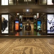 The Museum of Somerset