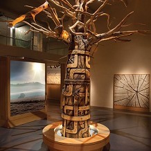 The Museum of Somerset