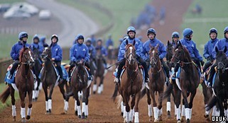 The National Horseracing Museum