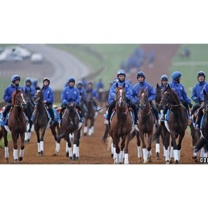 The National Horseracing Museum